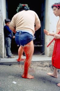 nocera-terinese-cz-1973-la-processione-della-madonna-addolorata-il-rito-dei-vattienti_30351333533_o.jpg