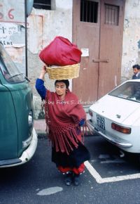 nocera-terinese-cz-1973-la-processione-della-madonna-addolorata-il-rito-dei-vattienti_30351337083_o.jpg
