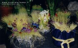 Pict0019.jpg