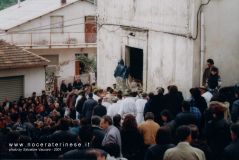 Pict0280.jpg