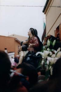 Pict0296.jpg