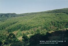 panorama067.jpg