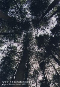 panorama069.jpg