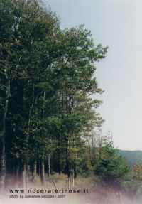 panorama071.jpg