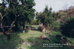 panorama078.jpg