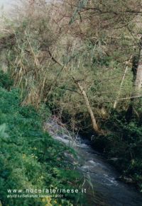 panorama089.jpg