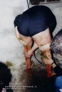 Pict0163.jpg