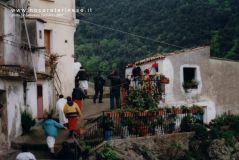 Pict0224.jpg