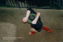 Pict0226.jpg