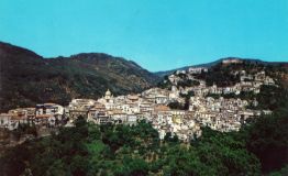 Panorama.jpg
