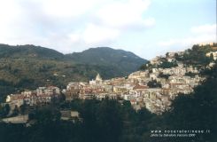 panorama006x.jpg