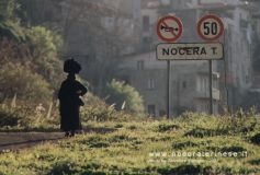 panorama050.jpg