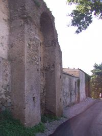 DCP_0040.JPG